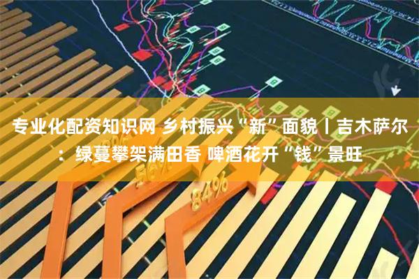 专业化配资知识网 乡村振兴“新”面貌丨吉木萨尔：绿蔓攀架满田香 啤酒花开“钱”景旺